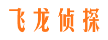 月湖市婚姻调查